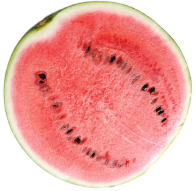 東北パートナーズ農園 すいか