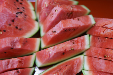 東北パートナーズ農園 すいか収穫